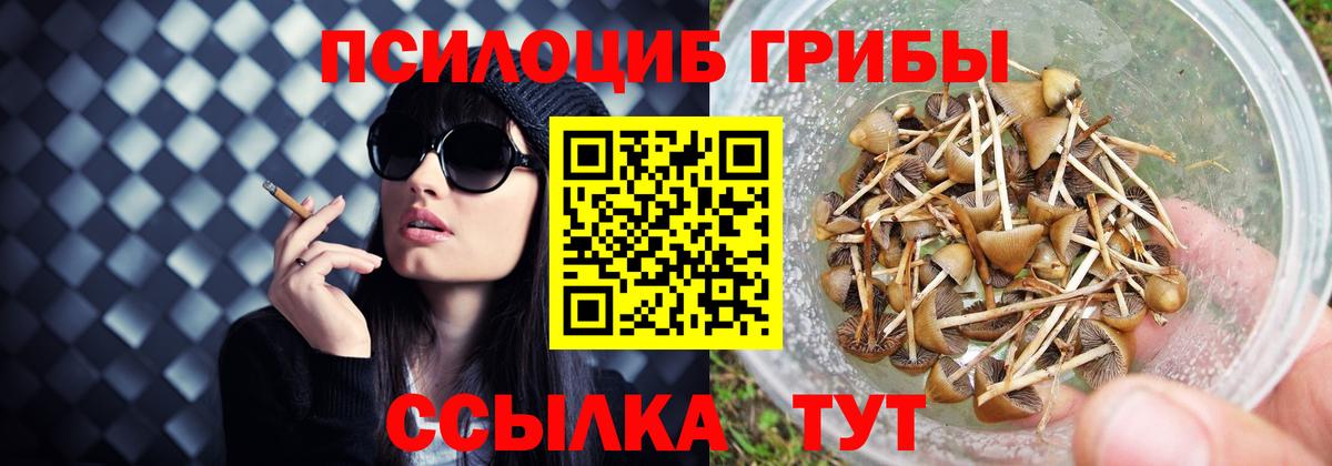 Альфа ПВП Краснодар